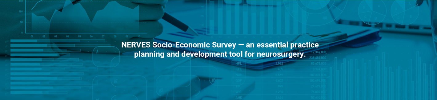 Socio-economic survey